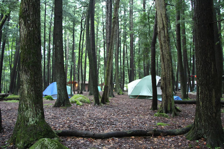 wildman adventure resort peshtigo river outpost camping