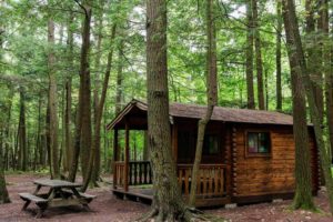 Rustic Cabins -Wildman Adventure Resort