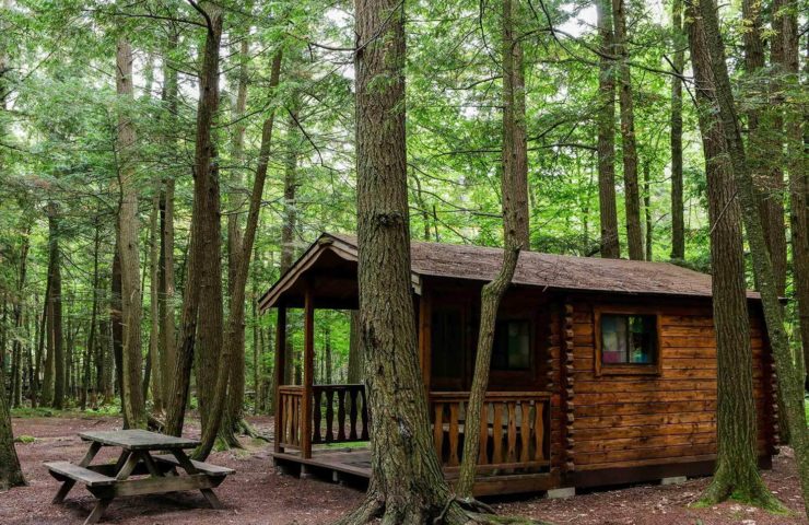 Rustic Cabins -Wildman Adventure Resort