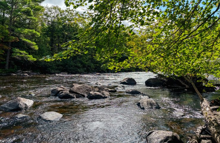 A photograph of the Peshtigo River from a riverside campsite at Wildman Resort's campground
