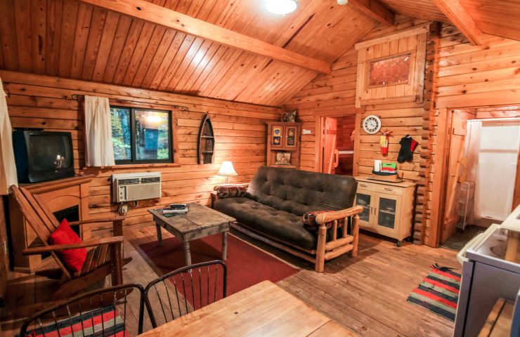 interior photo of Hideaway cabin living room with couch and table
