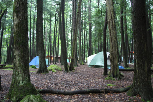 Wildman Campsite